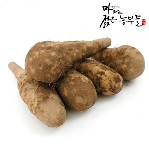 [영파머스몰]마캐는 젊은농부들 마 안동마 참마 장마 산마 햇마 생마