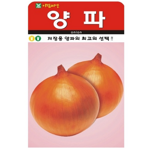 저장용 양파 씨앗(300립)(A0264), 1개