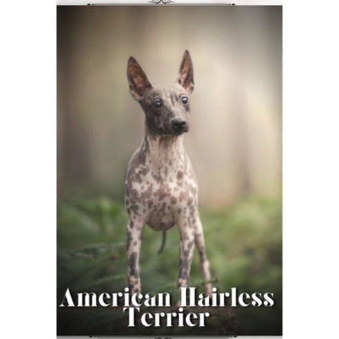 (영문도서) American Hairless Terrier: Dog breed overview and guide Paperback, Independently Published, English, 9798851501067
