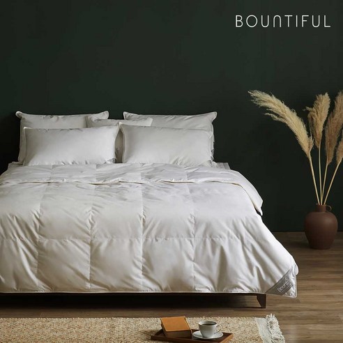 따뜻함과 편안함의 궁극적인 결합