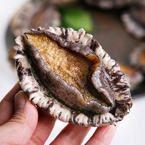 청정완도 참전복1kg(18~20미) - 전복/굴/조개류 | 쿠팡