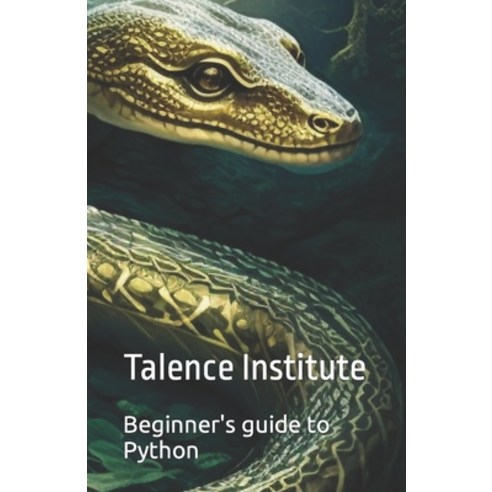 (영문도서) Beginner''s guide to Python Paperback, Independently Published