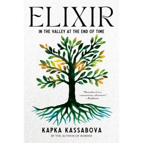 (영문도서) Elixir: In the Valley at the End of Time Paperback, Graywolf Press, English, 9781644452332