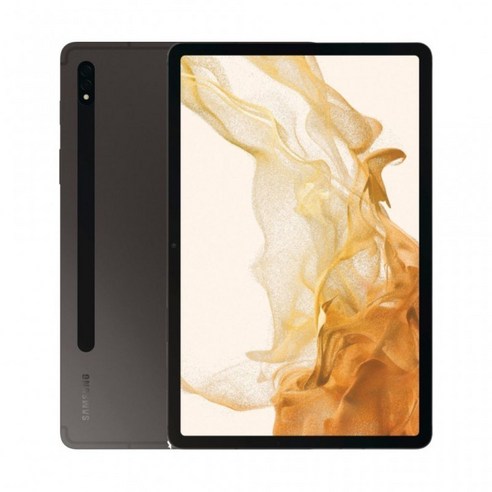 삼성전자 갤럭시탭 S8 SM-X700, 갤럭시탭 S8, 128GB, Wi-Fi+Cellular