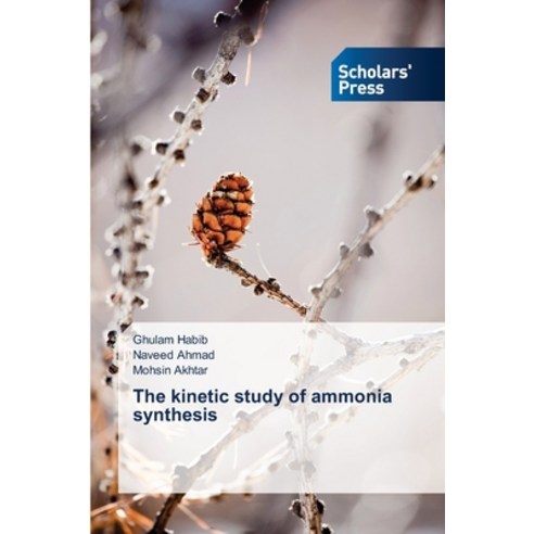 (영문도서) The kinetic study of ammonia synthesis Paperback, Scholars'' Press, English, 9786202319133