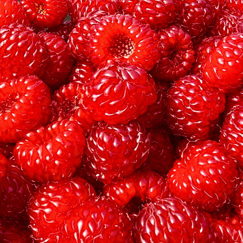 [100%산지직송] 당일수확 제철맞은 생 산딸기, 1개, 250g