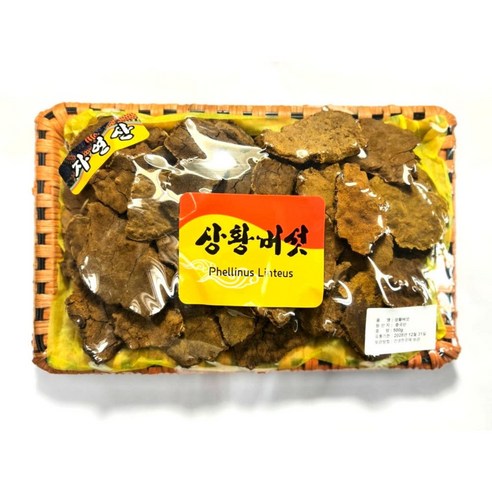 동의한약나라 상황버섯 바구니 중국, 1개, 500g