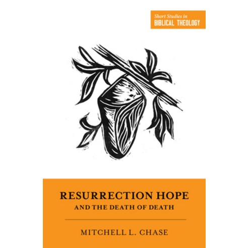 (영문도서) Resurrection Hope and the Death of Death Paperback, Crossway, English, 9781433580406