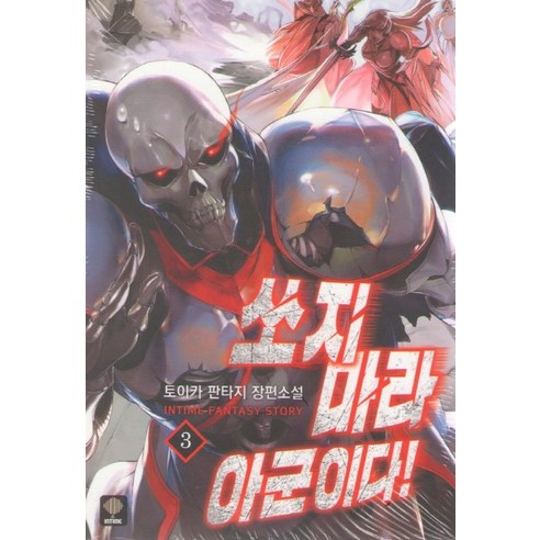 쏘지마라 아군이다. 3:토이카 판타지 장편소설, 인타임