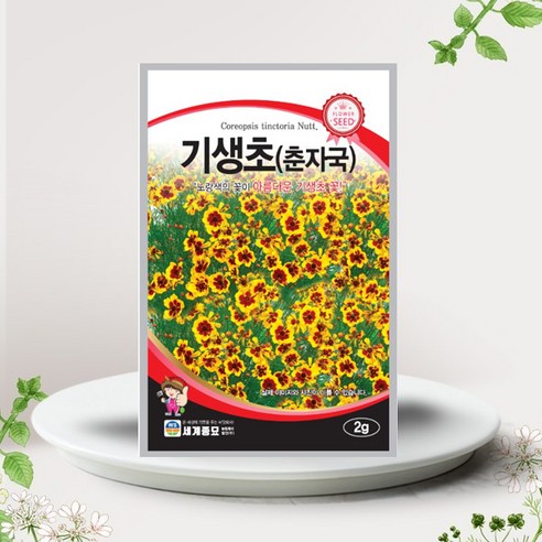 [오케이나우ㅣ강추] 기생초의 매혹적인 아름다움: 춘차국의 꽃씨를 심어 보세요 [OKNOWㅣ추천상품]