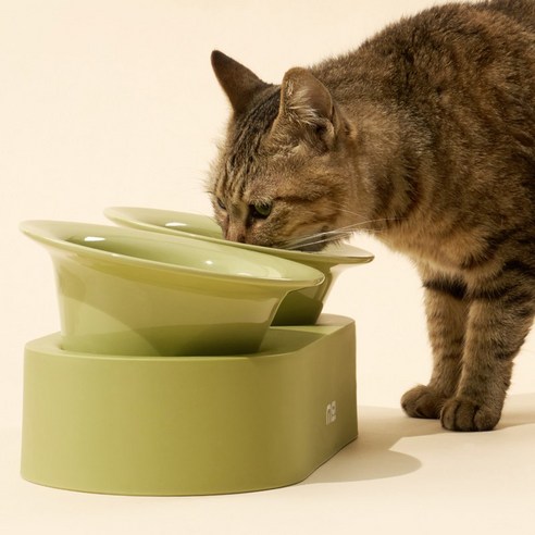 사랑하는 반려동물을 위한 건강하고 편안한 식사, 팔업 2구 식기 세트 올리브그린