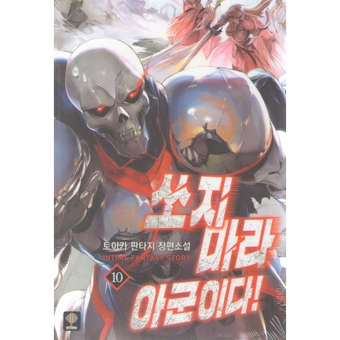 쏘지마라 아군이다. 10:토이카 판타지 장편소설, 인타임