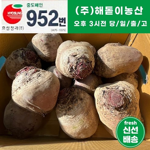 해돋이농산 제주 레드비트 비트 10kg 내외 (8~14수), 1개, 5kg