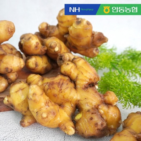 향긋한 흙 생강 10kg, 1개 향긋한 흙 생강 10kg, 1개
