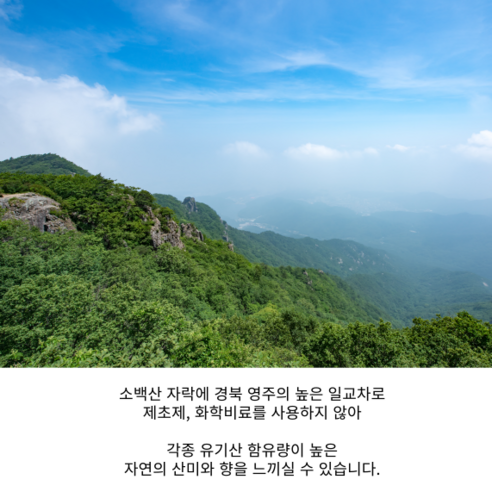 겉은 못생겼지만 맛은 최고, 건강까지 책임지는 유기농 못난이 사과!