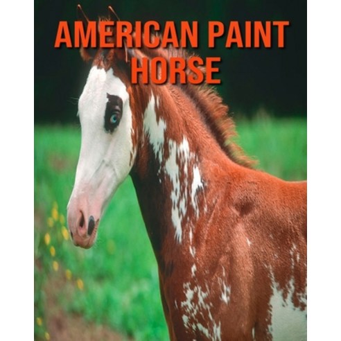 American Paint Horse: Amazing Photos & Fun Facts Book About American Paint Horse For Kids Paperback, Independently Published