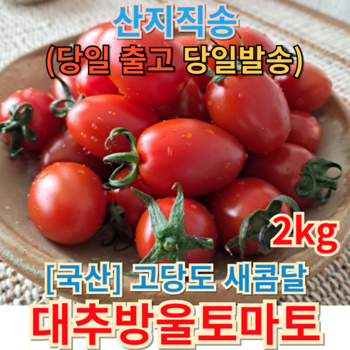 [산지직송] 고당도 새콤달콤 대추방울토마토 2kg 초특가 국산 신선한 당일발송 당일수확 방울토마토 토마토 대추방울토마토 방울 과일 방울토마토2kg tomato, 1개