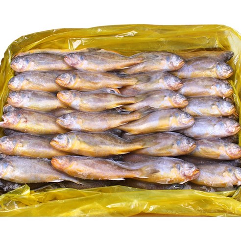 아이엠푸드몰 참조기 2.4kg 부세조기 선물용생선 생선, 1박스