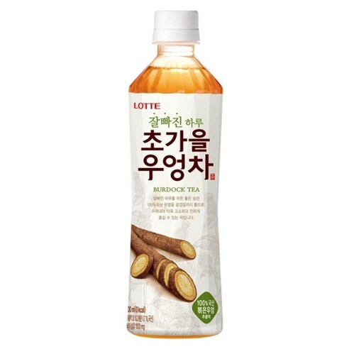 롯데칠성음료 잘빠진 하루 초가을 우엉차