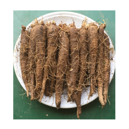 횡성더덕농장 더덕 상품 1kg - 더덕 | 쿠팡