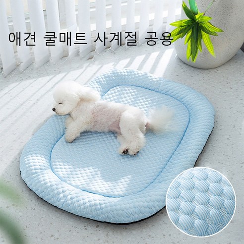 푸른 색 애완 방석 쿨매트 시원하고 사계절 공용, 1개