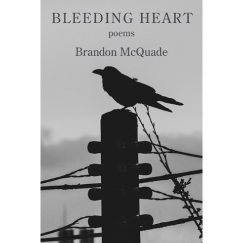 Bleeding Heart Paperback, Kelsay Books, English, 9781954353022