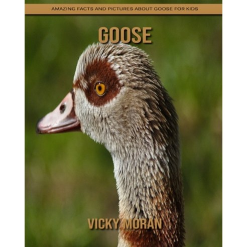 Goose: Amazing Facts and Pictures about Goose for Kids Paperback ...