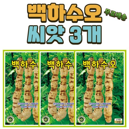 씨앗팜 백하수오 씨앗 3개(50립x3) 민속채 약초 하수오 씨앗, 3개 대마초씨앗