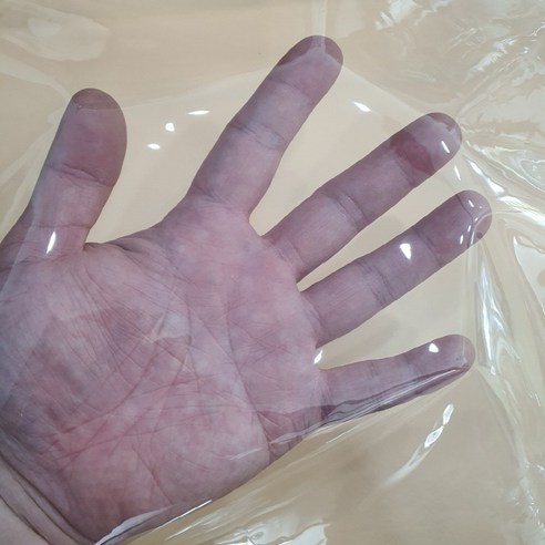 7,700원의 행복! 완벽 방수, DIY 설치의 편리함까지 갖춘 우레탄창 텐트