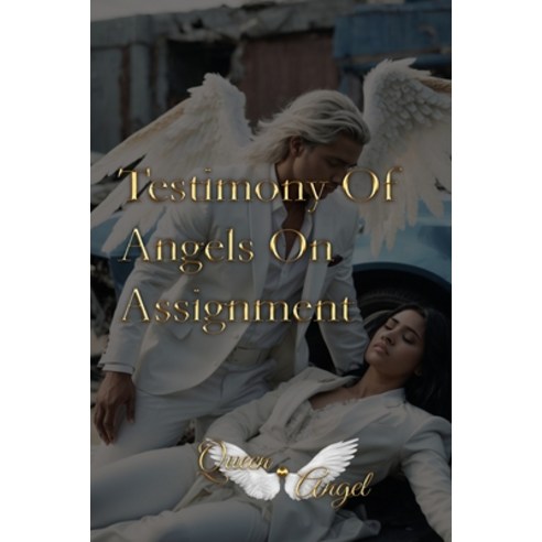 (영문도서) Testimony of Angels On Assignment Paperback, Queen Angel Books, English, 9798987682401