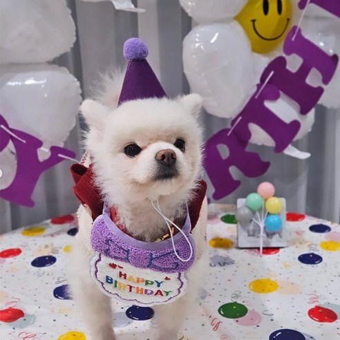 애완동물 생일 파티 소품 스카프 + 모자 세트, 생일 가랜드(퍼플), 1세트