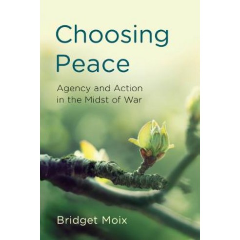 Choosing Peace: Agency and Action in the Midst of War Hardcover, Rowman & Littlefield Publishers