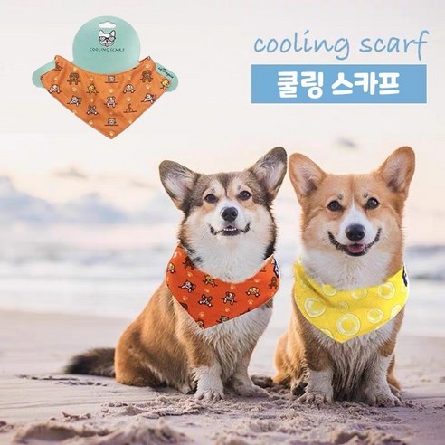 다바이마켓 애견 귀여운 쿨링 냉감각 수건 얼음 같은 느낌 L 사이즈, 1개, 오렌지