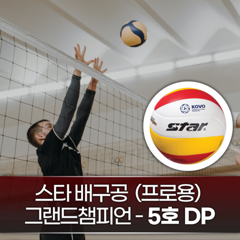 스타 배구공 그랜드챔피언 고탄력소재 프로용 스폰지공 닷지볼 학교 해변 체육 대회/5호DP