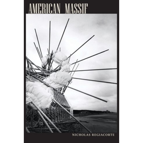 (영문도서) American Massif Paperback, Tupelo Press, English, 9781946482709