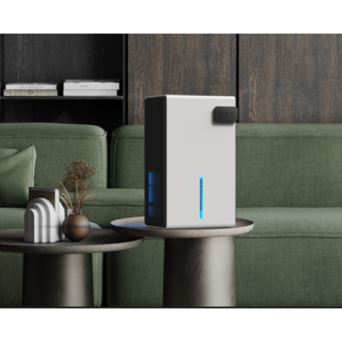 홈뉴 가성비 제습기 원룸 공기청정기 가정용 저소음 소형 제습 욕실 습기 제거, 프리미엄 2.5L 크림