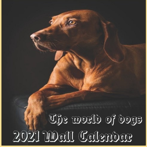Dog Calendar 2021: Dog calendar 2021 "8.5x8.5" Inch 16 Months JAN 2021 TO APR 2022 finished and Glossy Paperback, Independently Published, English, 9798582415374