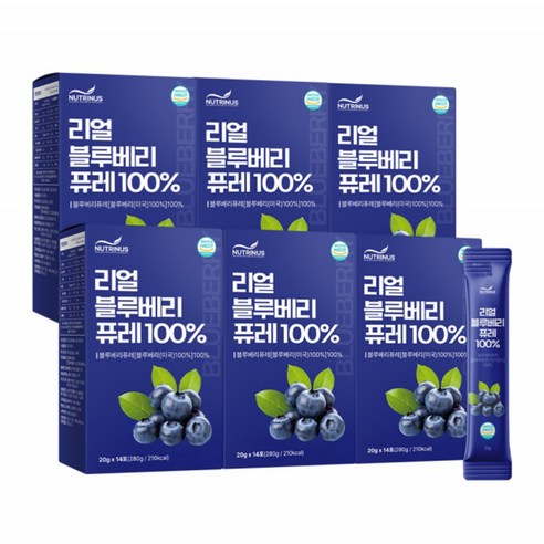 뉴트리너스 리얼 블루베리 퓨레 100%