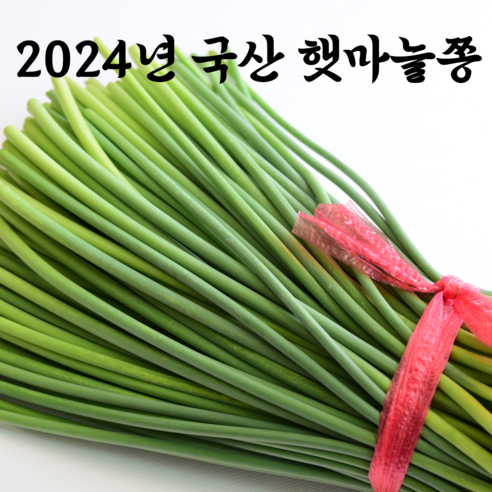 야들야들한 2024년 국산 햇 마늘쫑, 1개, 1kg Best Top5