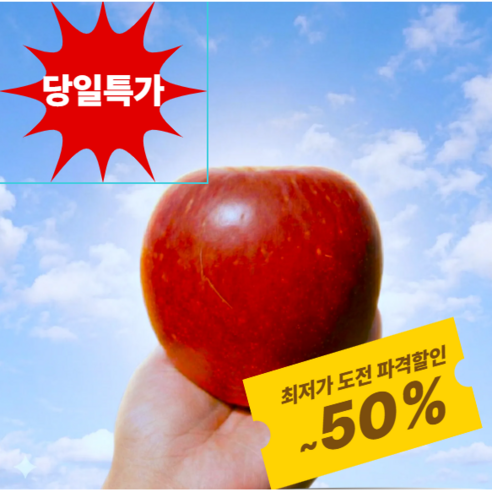 [오늘하루 당일특가] 초특가할인이벤트  산지직송고당도 못난이사과