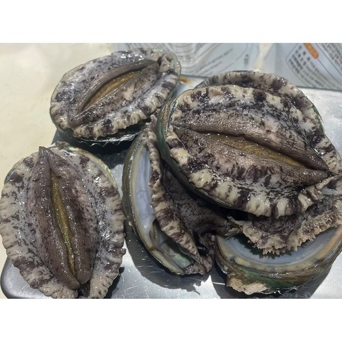 신선한 완도 활전복, 건강한 삶을 위한 필수 식품