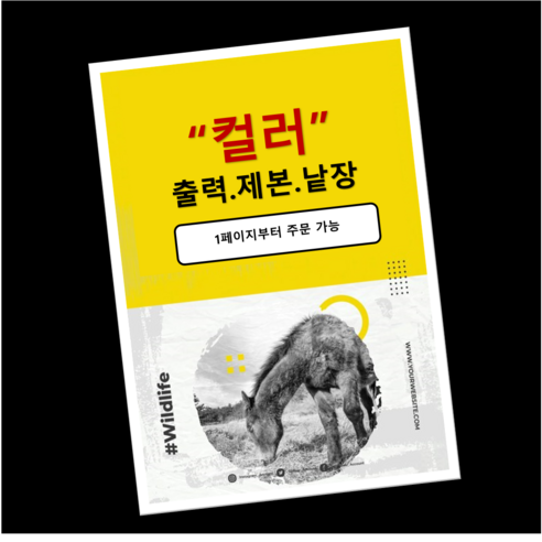 고객의 니즈에 맞춘 최적의 출력 및 제본 서비스
