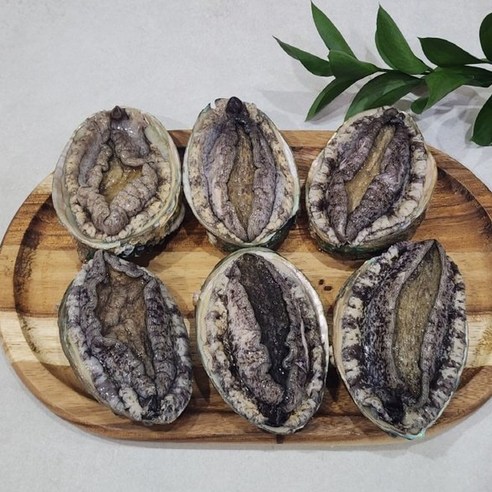 [제니네 제철과일] 완도 산지직송 국내산 활전복 선물세트, 1개, 물세트 1kg(7-8미 내외) / 부직포 가방