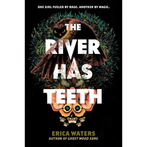 (영문도서) The River Has Teeth Paperback, Harperteen, English, 9780062894267