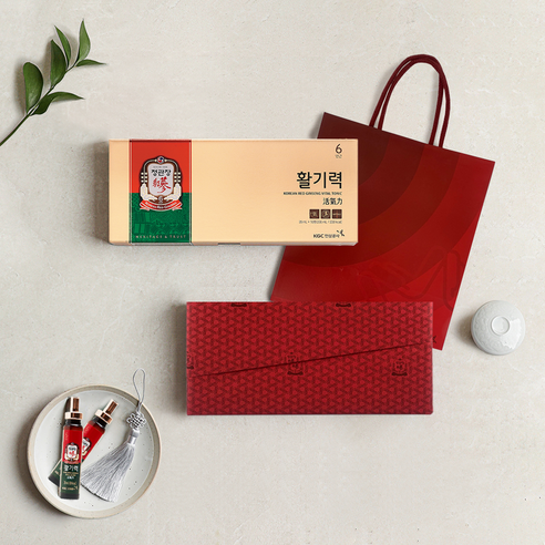 정관장 활기력 10병 선물세트, 20ml, 10개