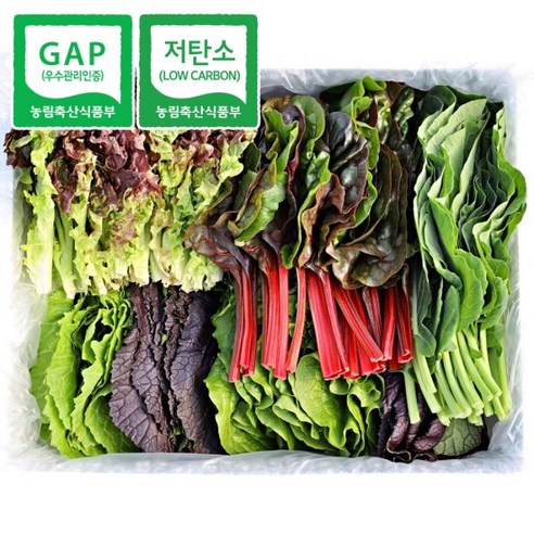 [청년프레쉬] 친환경 GAP 모듬 쌈채소 샐러드야채 600g, 1개