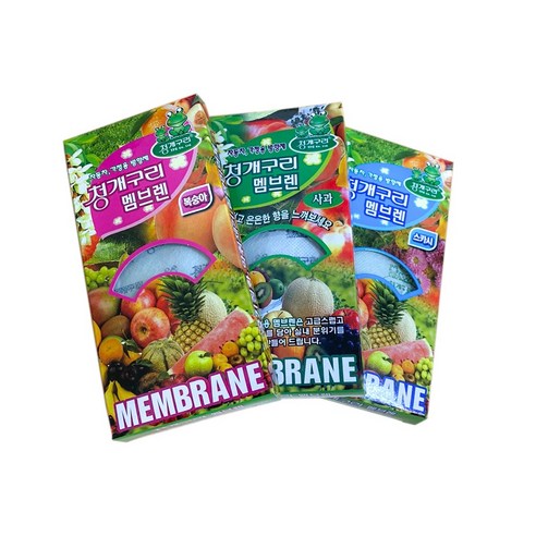 차량 내부를 신선하고 상쾌하게 유지하는 궁극적인 솔루션