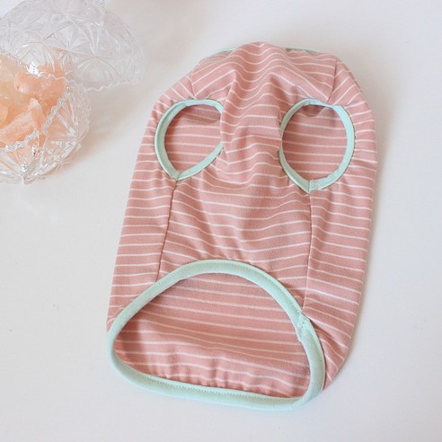 사랑스러운 강아지를 위한 완벽한 선택