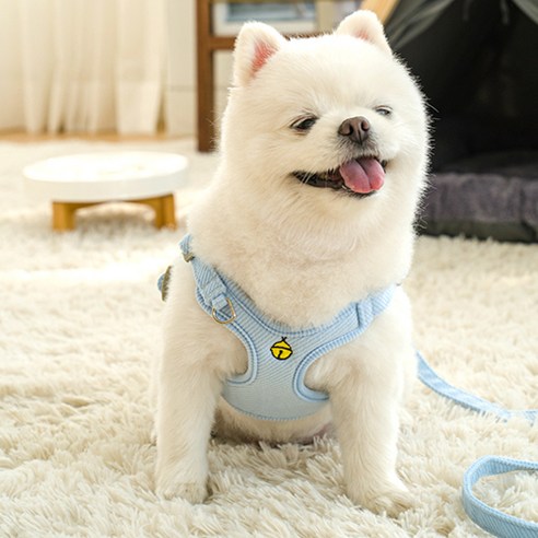 퍼플펫 방울하네스 고양이 가슴줄 소형견 앞섬방지, 스카이블루, 1개