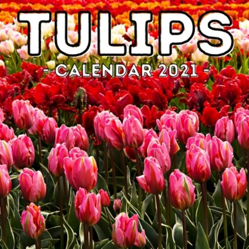 (영문도서) Tulips Calendar 2021: 16-Month Calendar Cute Gift Idea For Tulip Lovers Women & Men Paperback, Independently Published, English, 9798503771411